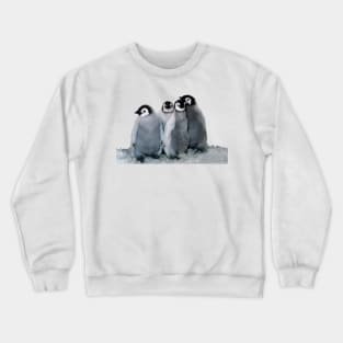 baby penguins Crewneck Sweatshirt